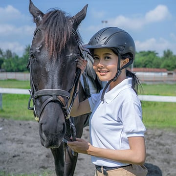 horse